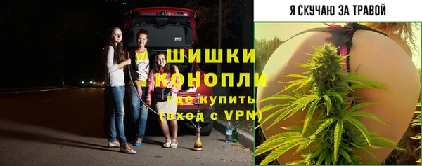 метадон Верея